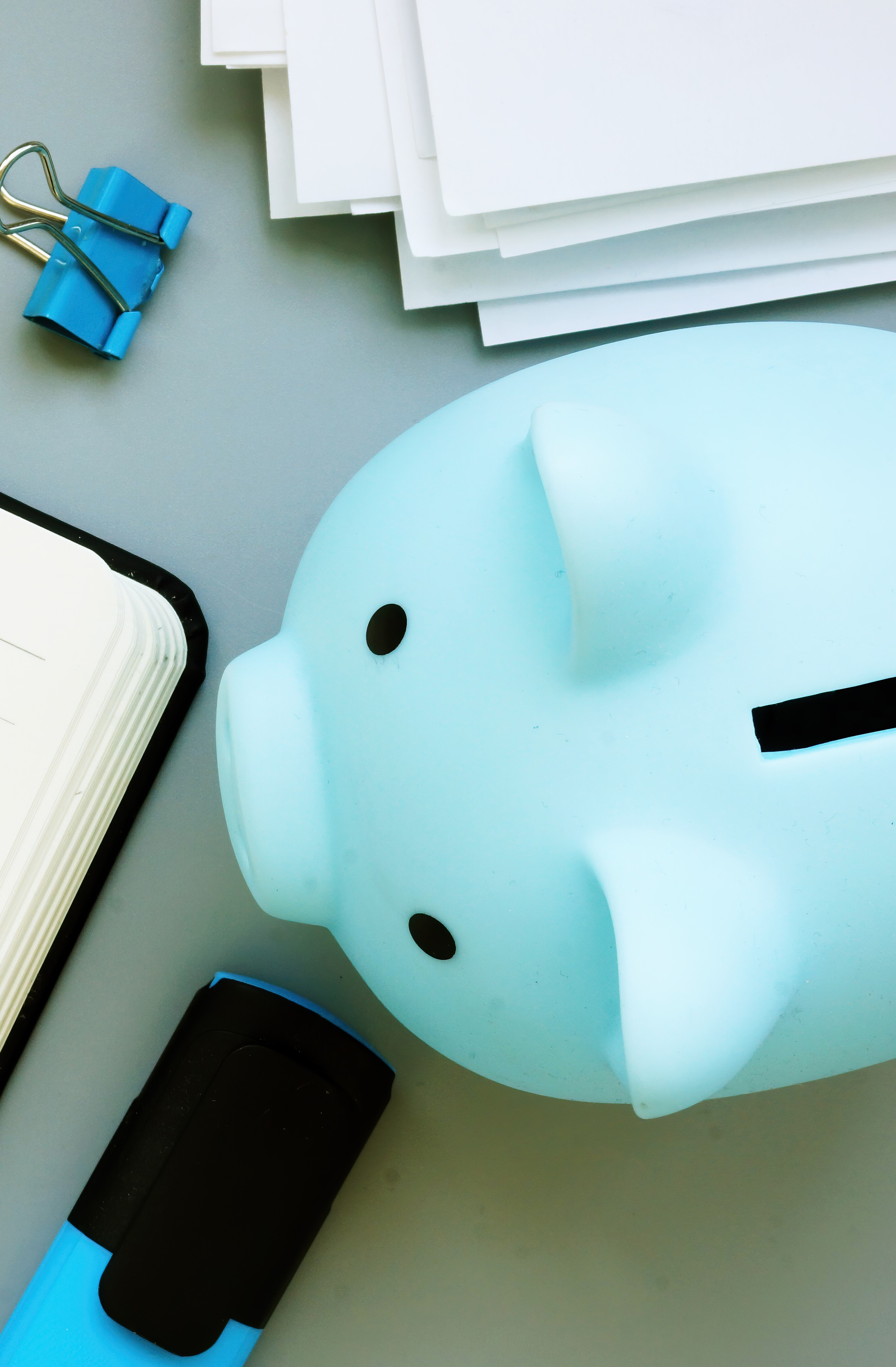 Piggy bank wearing glasses representing financial savings